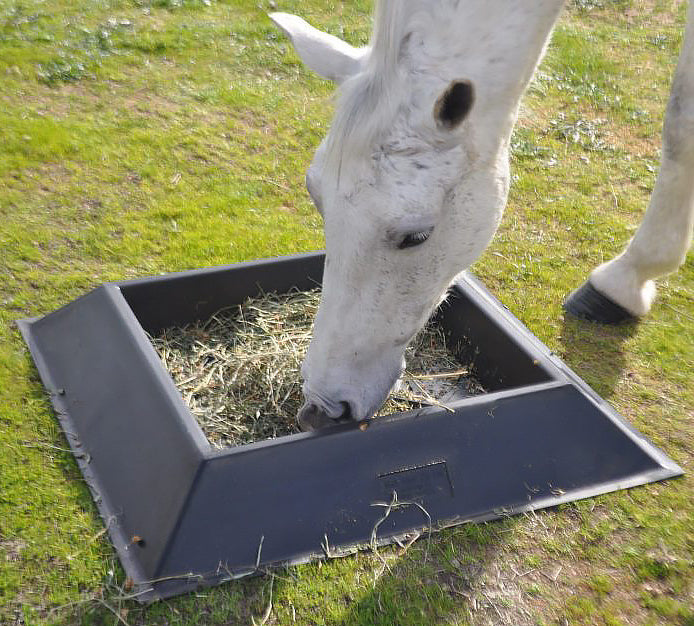 Feed Equipment