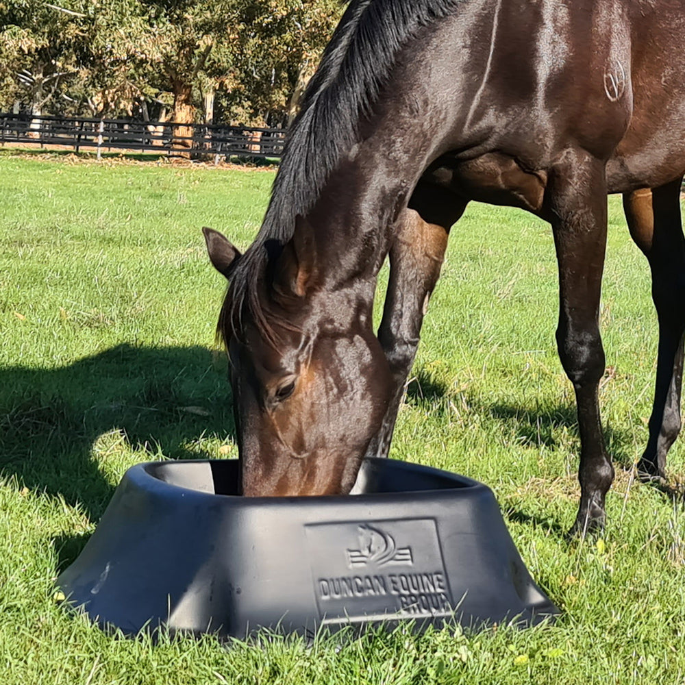 Duncan Equine Paddock Feeder